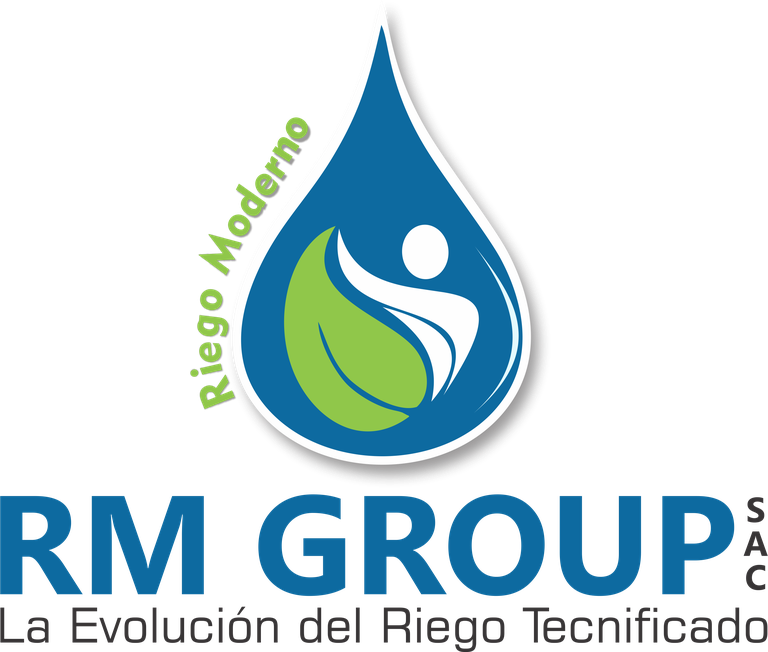 RM Group SAC